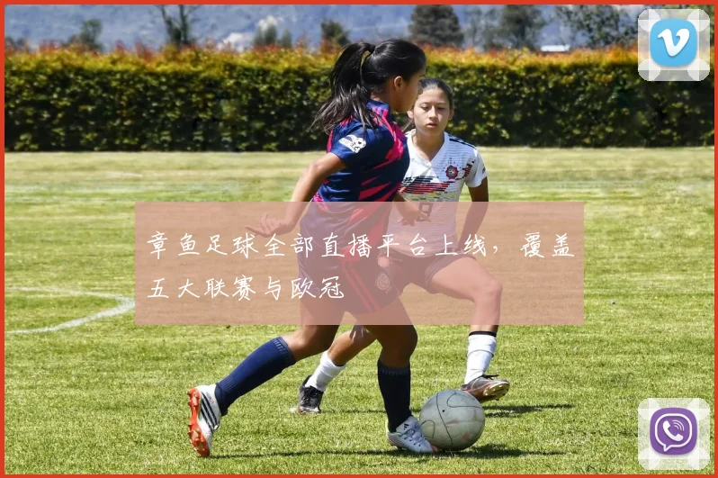 章鱼足球全部直播平台上线，覆盖五大联赛与欧冠