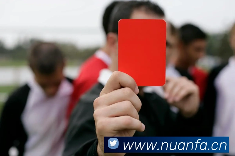 开云app官方入口网页版平台生态图